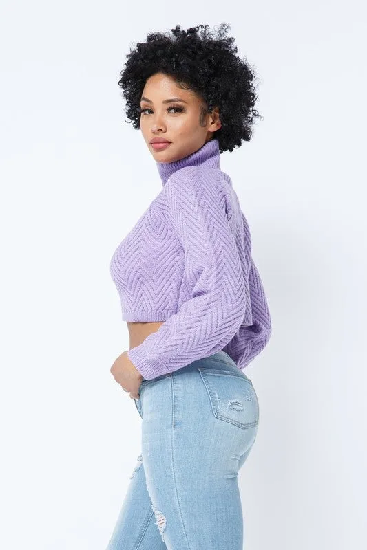 CHEVRON TURTLENECK SWEATER- LAVENDER